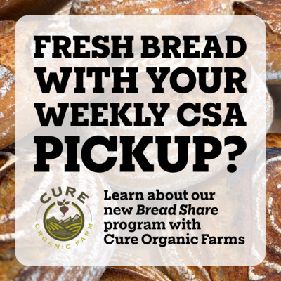 [2024 Daily Grains Bread Share @ Cure Organic Farm]